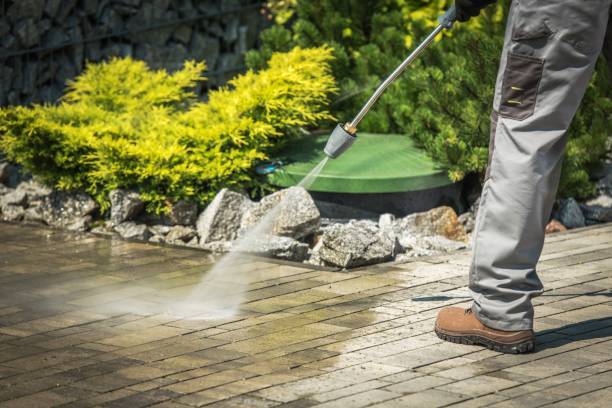 Best Fence Cleaning  in Frewsburg, NY