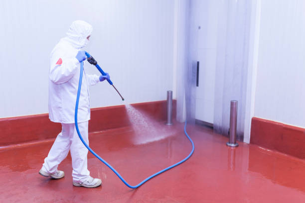 Best Post-Construction Pressure Washing  in Frewsburg, NY
